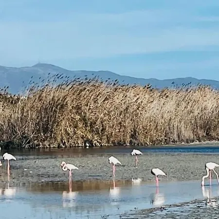 Sunrise * Куарту-Сант'Элена
